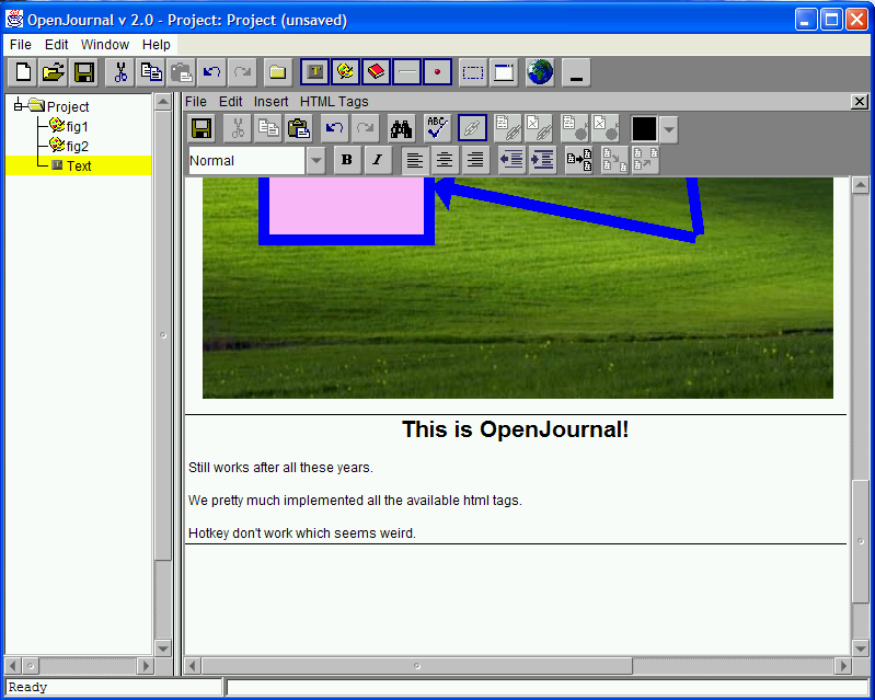 OpenJournal Text Editor